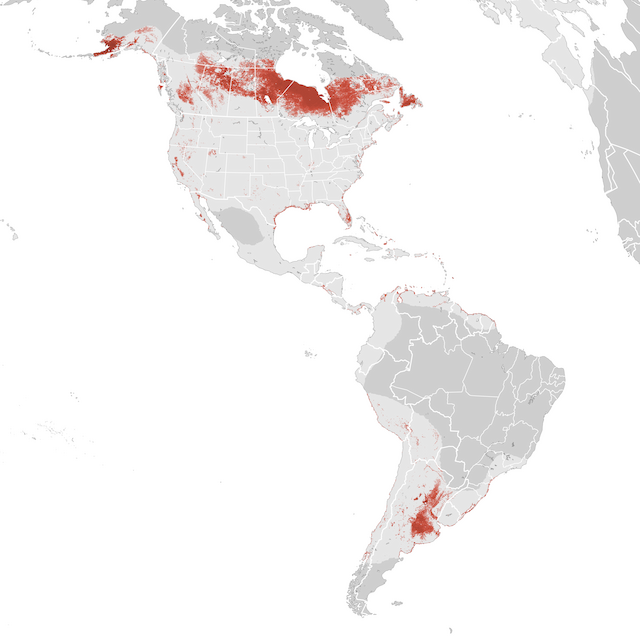 Abundance Map