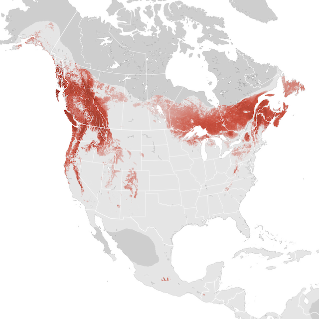 Abundance Map