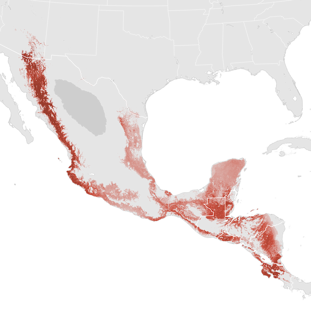 Abundance Map