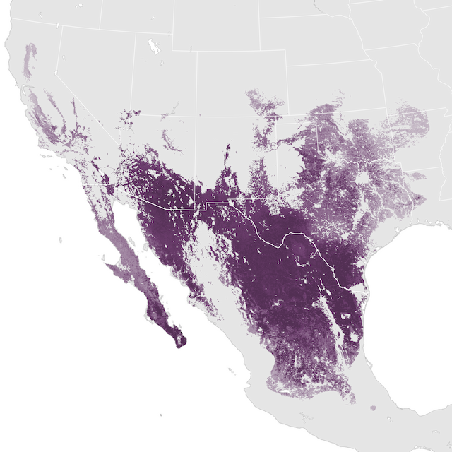 Abundance Map