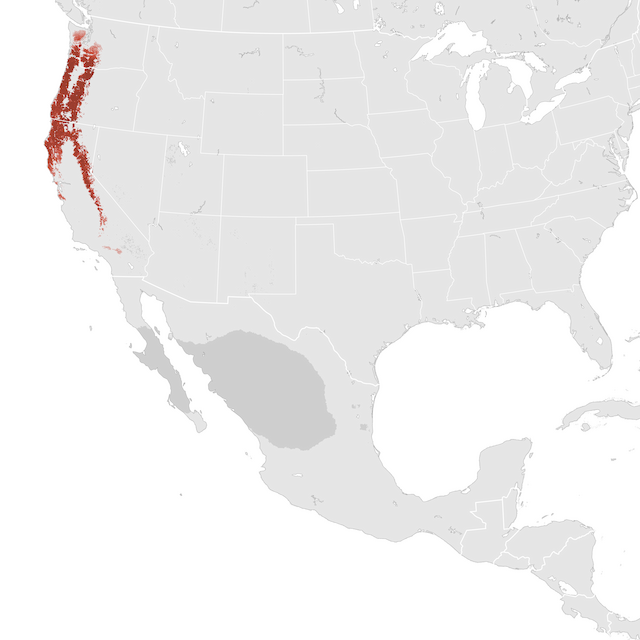 Abundance Map
