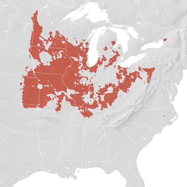 Range Map