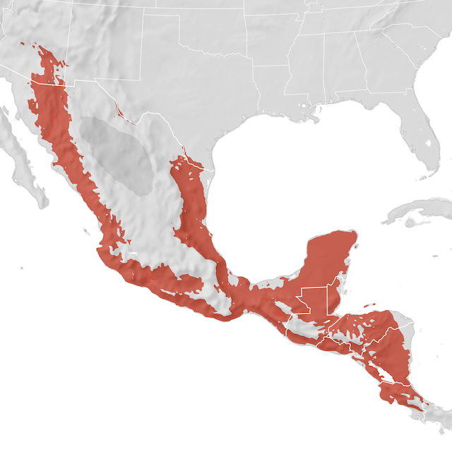 Range Map