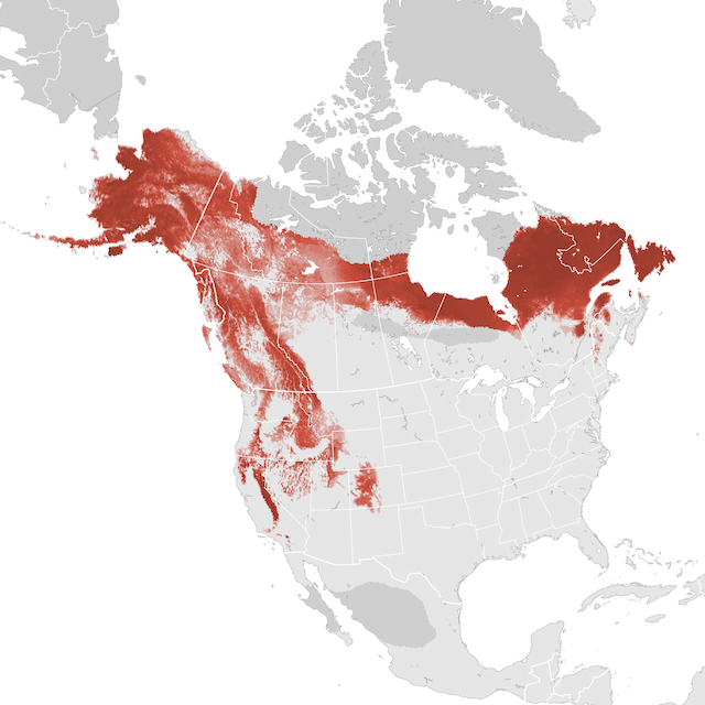 Abundance Map