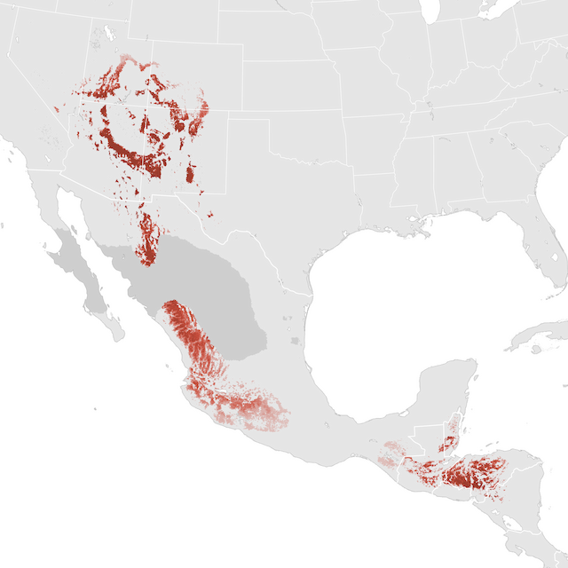 Abundance Map