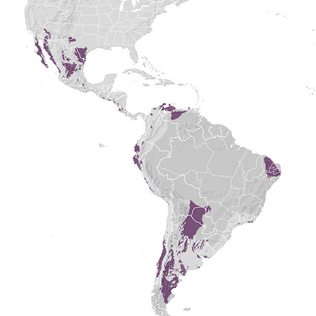 Range Map
