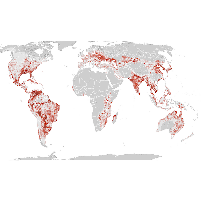 Abundance Map
