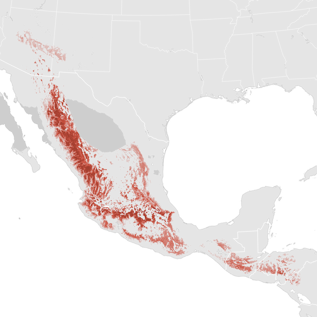 Abundance Map