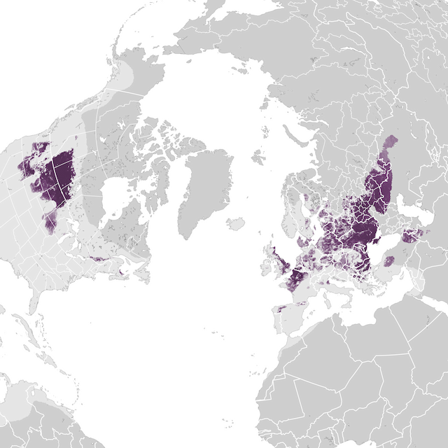 Abundance Map