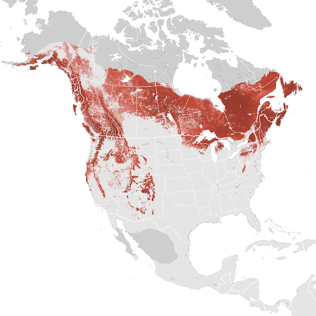 Abundance Map