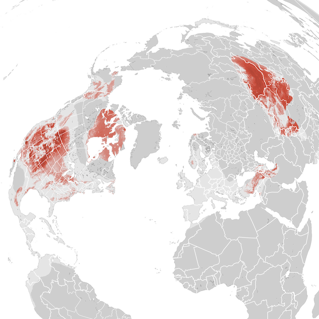 Abundance Map