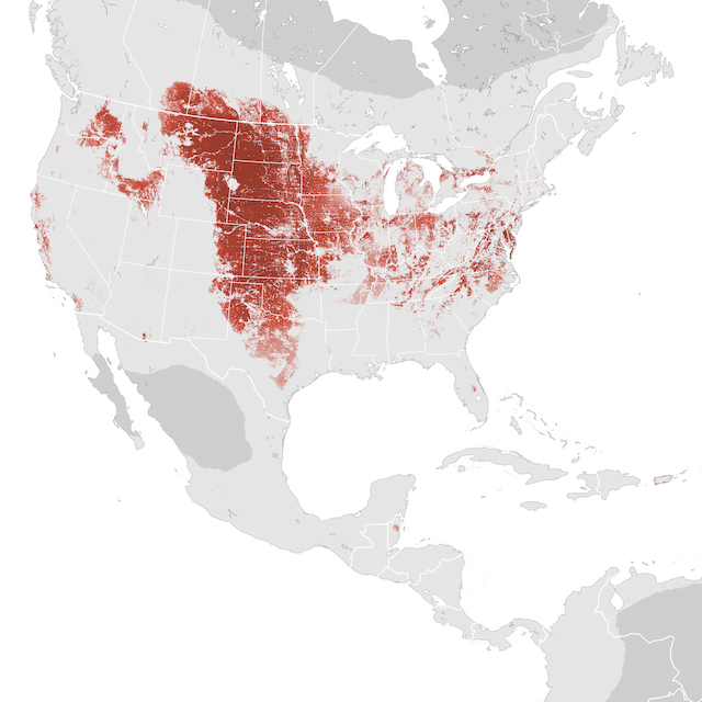 Abundance Map