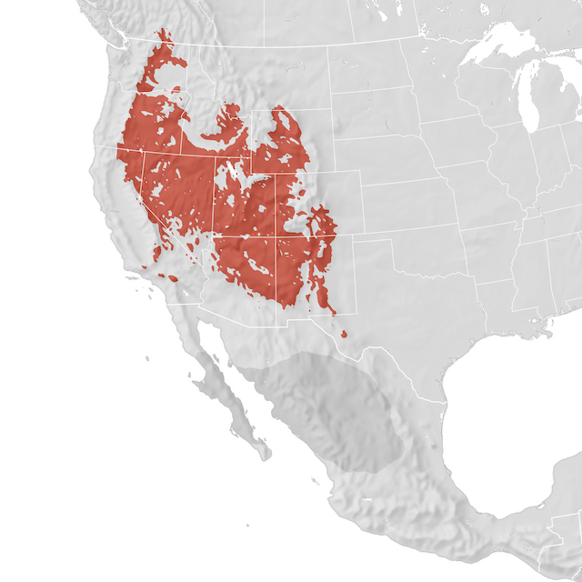 Range Map