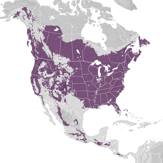 Range Map