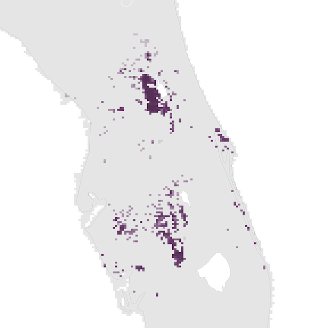 Abundance Map