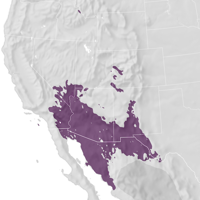 Range Map