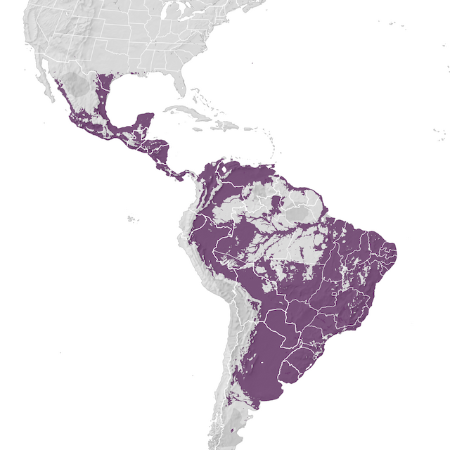 Range Map
