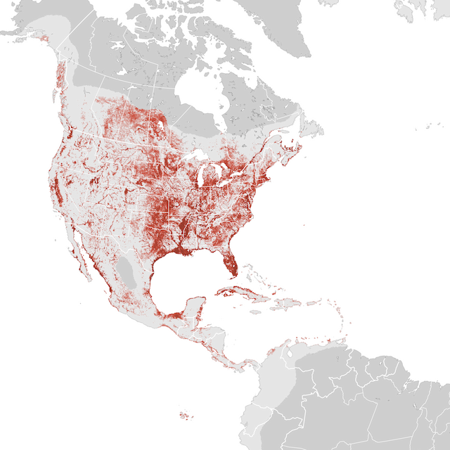 Abundance Map