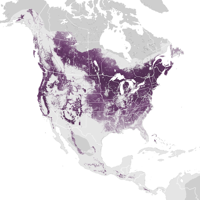 Abundance Map