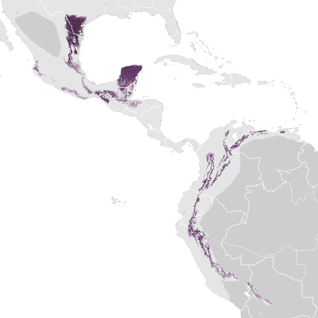 Abundance Map