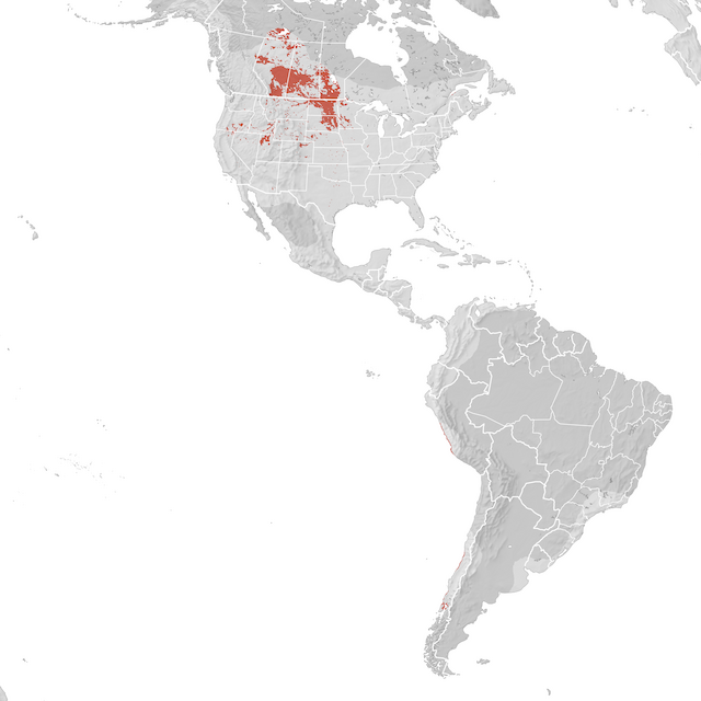 Range Map