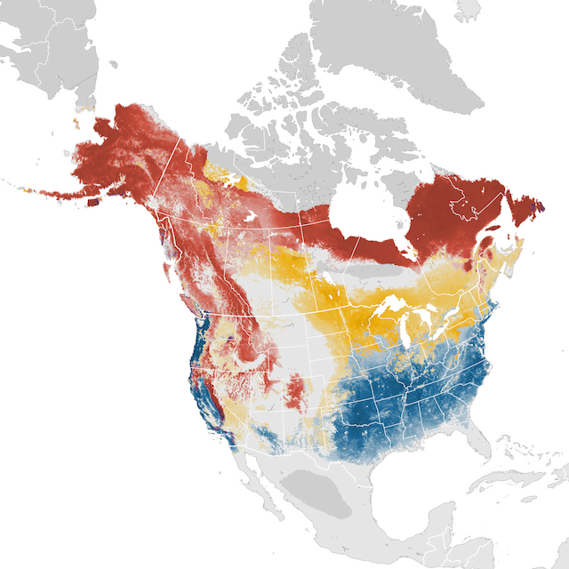 Abundance Map