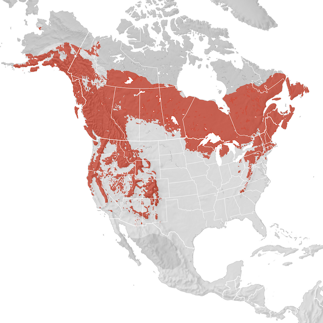 Range Map