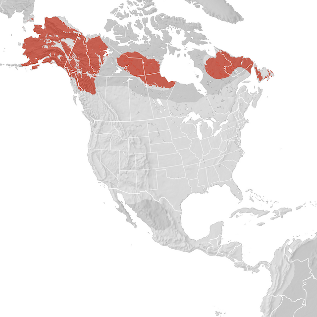 Range Map