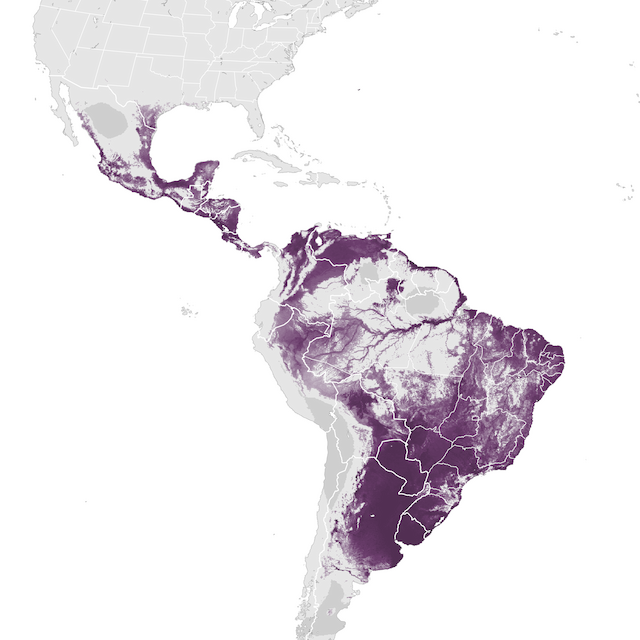 Abundance Map