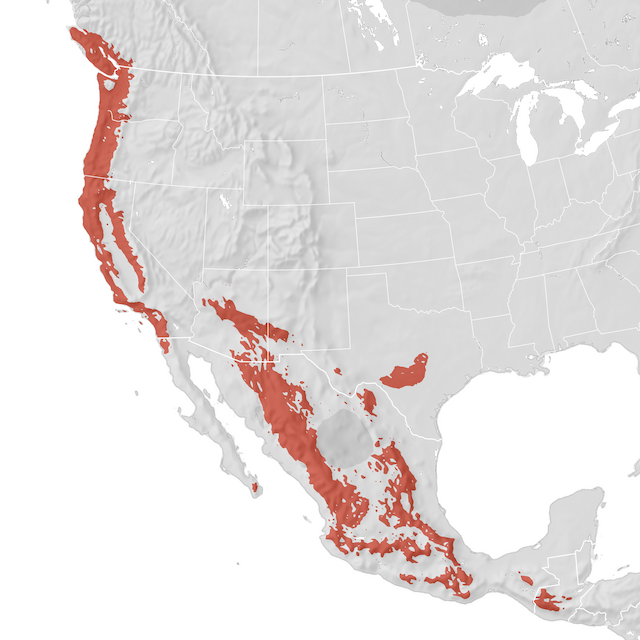 Range Map