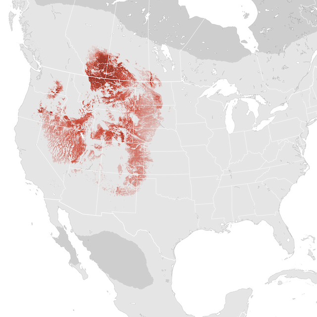 Abundance Map