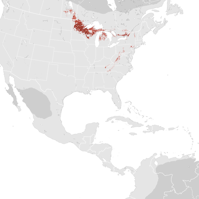 Abundance Map