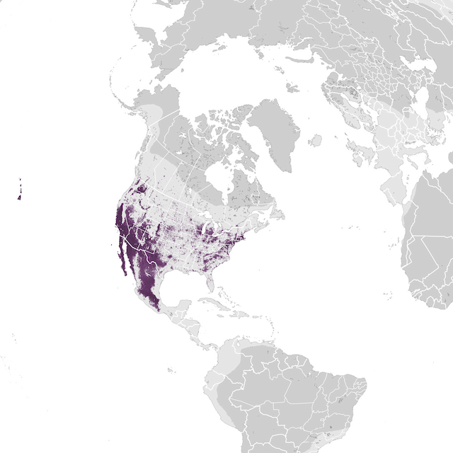 Abundance Map