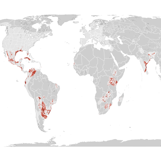 Abundance Map