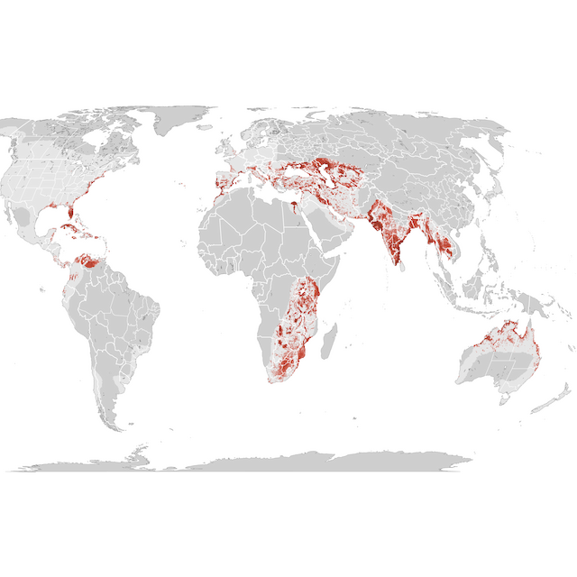 Abundance Map