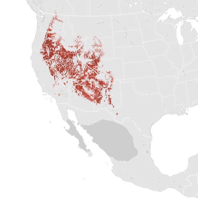 Abundance Map
