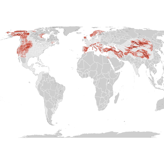 Abundance Map