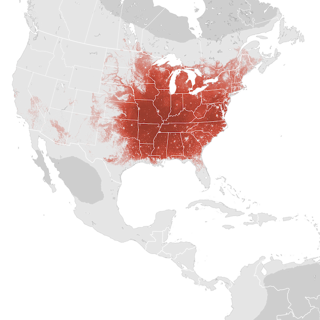 Abundance Map