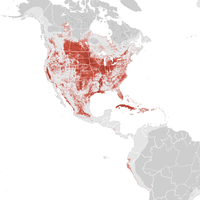 Abundance Map