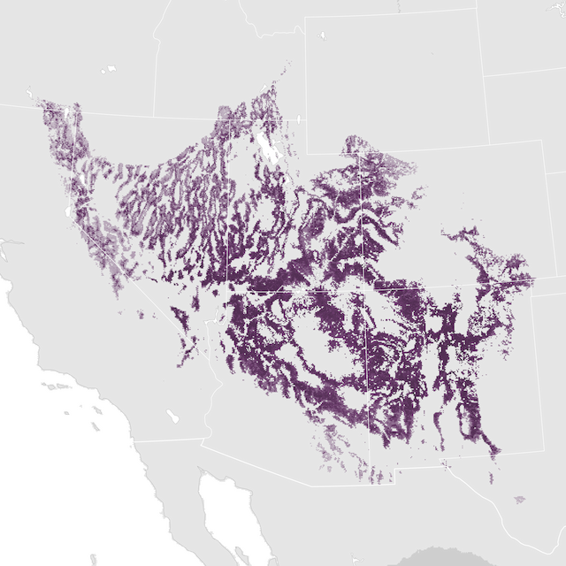 Abundance Map