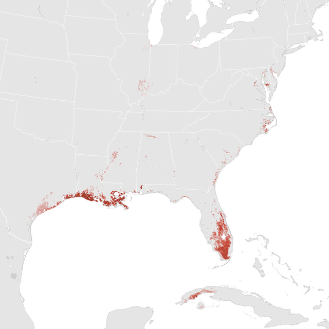 Abundance Map