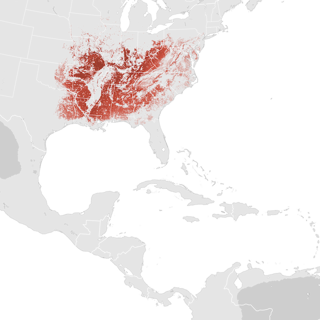 Abundance Map