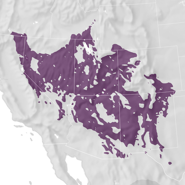 Range Map