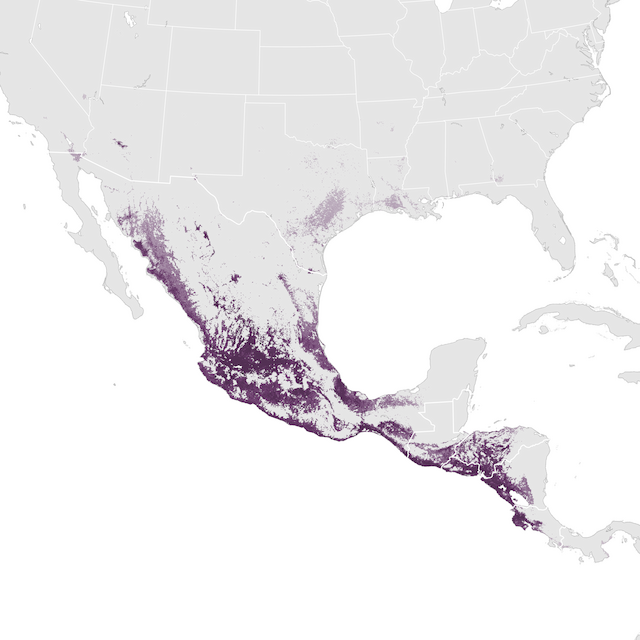 Abundance Map
