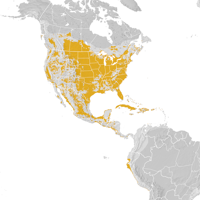Range Map