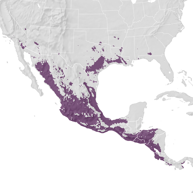 Range Map