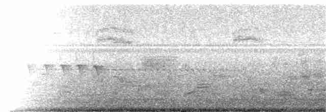 Бурый пеликан - ML63374841