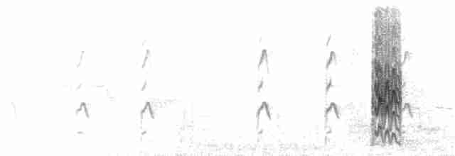 Guifette leucoptère - ML63375971