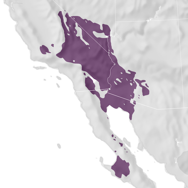 Range Map