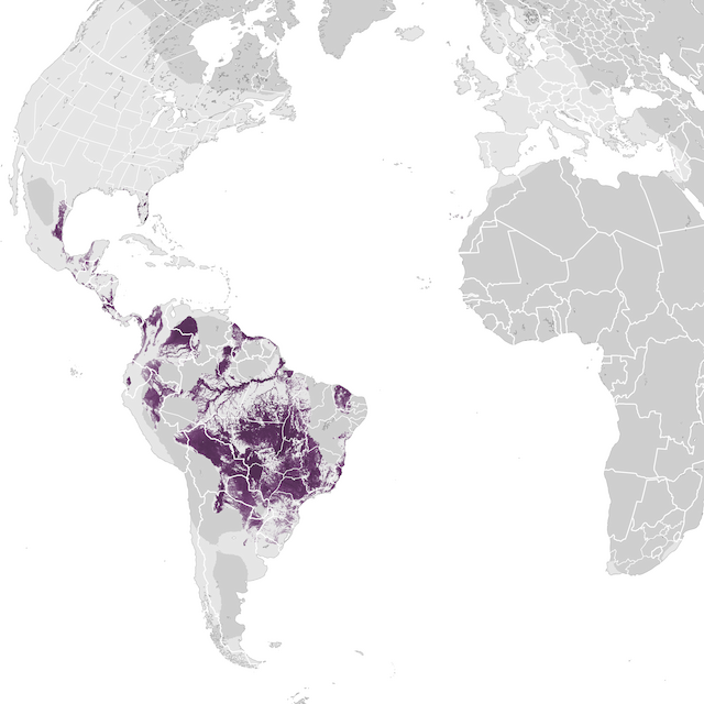 Abundance Map